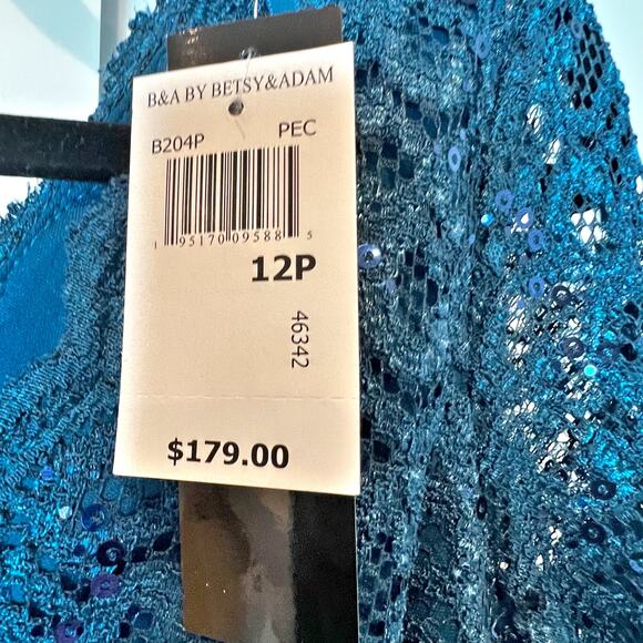 Betsy & Adam V-Neck Lace-Bodice Gown Dress Lined Peacock Size 12 Petite  NWT - Picture 9 of 10